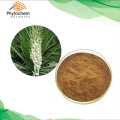 60% Saponins yucca schidigera 100 pure yucca leaf extract powder